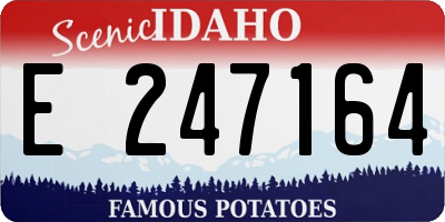 ID license plate E247164