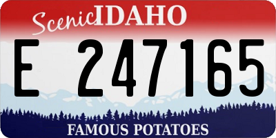 ID license plate E247165