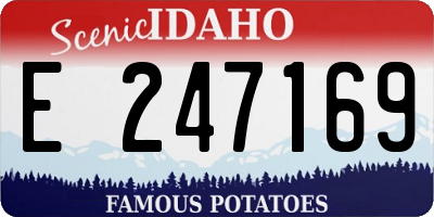 ID license plate E247169