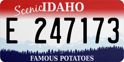ID license plate E247173