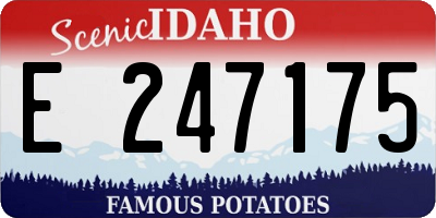 ID license plate E247175