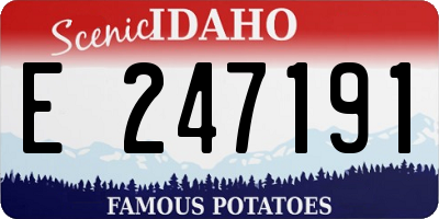 ID license plate E247191