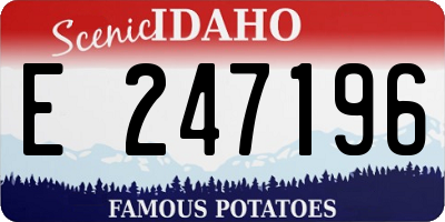ID license plate E247196