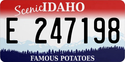 ID license plate E247198