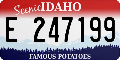 ID license plate E247199