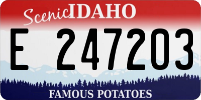 ID license plate E247203