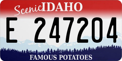 ID license plate E247204