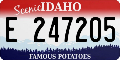 ID license plate E247205