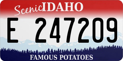 ID license plate E247209