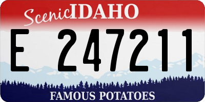 ID license plate E247211
