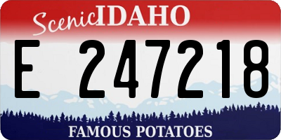 ID license plate E247218