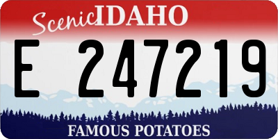 ID license plate E247219