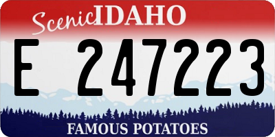 ID license plate E247223