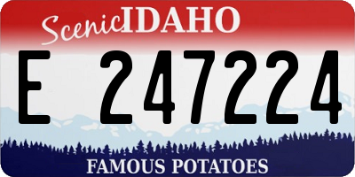 ID license plate E247224