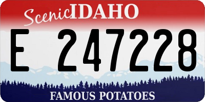 ID license plate E247228