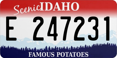 ID license plate E247231