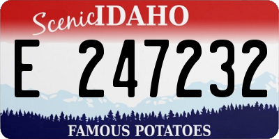ID license plate E247232