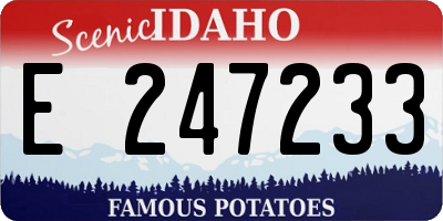ID license plate E247233