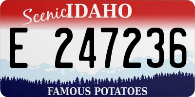ID license plate E247236