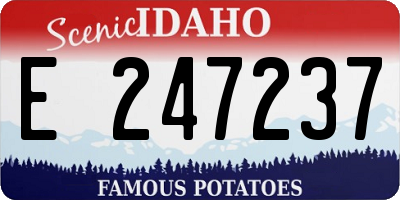 ID license plate E247237