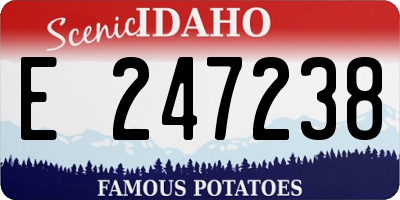 ID license plate E247238