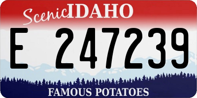 ID license plate E247239