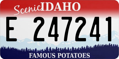 ID license plate E247241