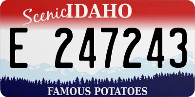 ID license plate E247243