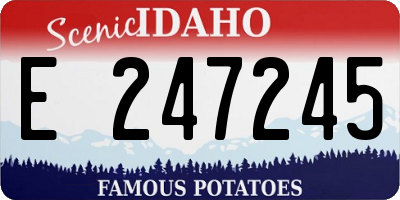 ID license plate E247245