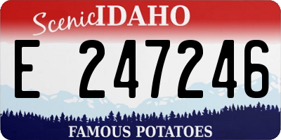 ID license plate E247246