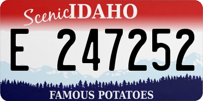 ID license plate E247252