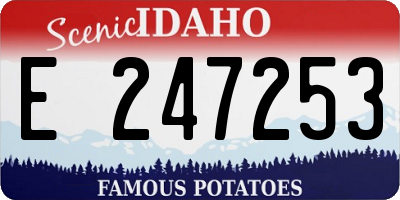 ID license plate E247253