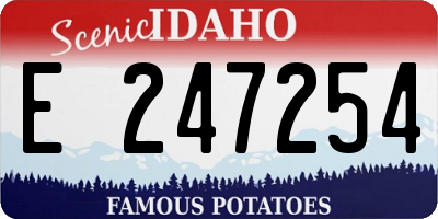 ID license plate E247254