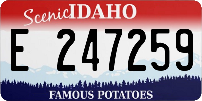 ID license plate E247259