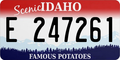 ID license plate E247261