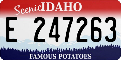 ID license plate E247263