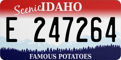 ID license plate E247264