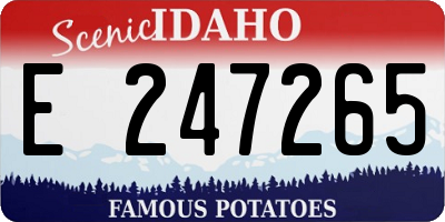 ID license plate E247265