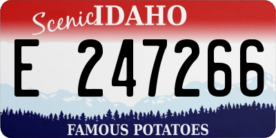 ID license plate E247266