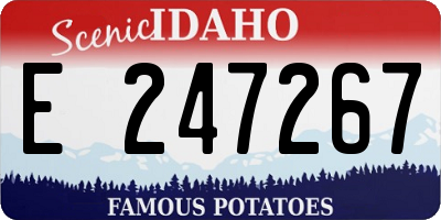 ID license plate E247267