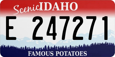 ID license plate E247271