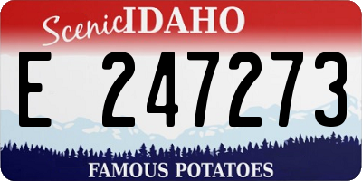 ID license plate E247273