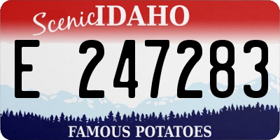 ID license plate E247283
