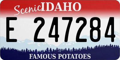 ID license plate E247284