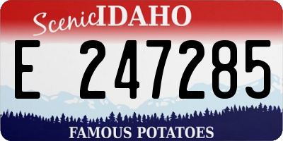 ID license plate E247285