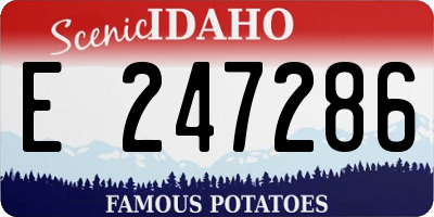 ID license plate E247286