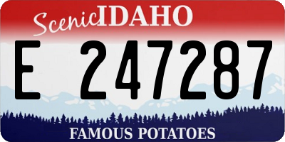 ID license plate E247287