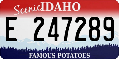 ID license plate E247289