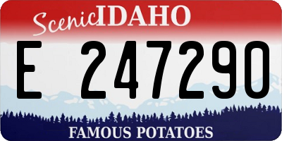 ID license plate E247290