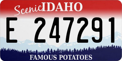 ID license plate E247291